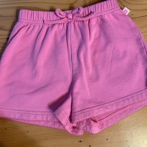 Gymboree Girls Pink Shorts 4T